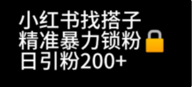 小紅書找搭子暴力精準鎖粉 引流日引200 精準粉