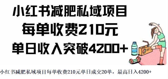 小紅書減肥私域專案每單收費210元單日成交20單，最高日入4200+