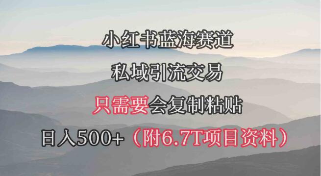 小紅書短劇賽道，私域引流交易，會複製粘貼，日入500+（附6.7T短劇資源）
