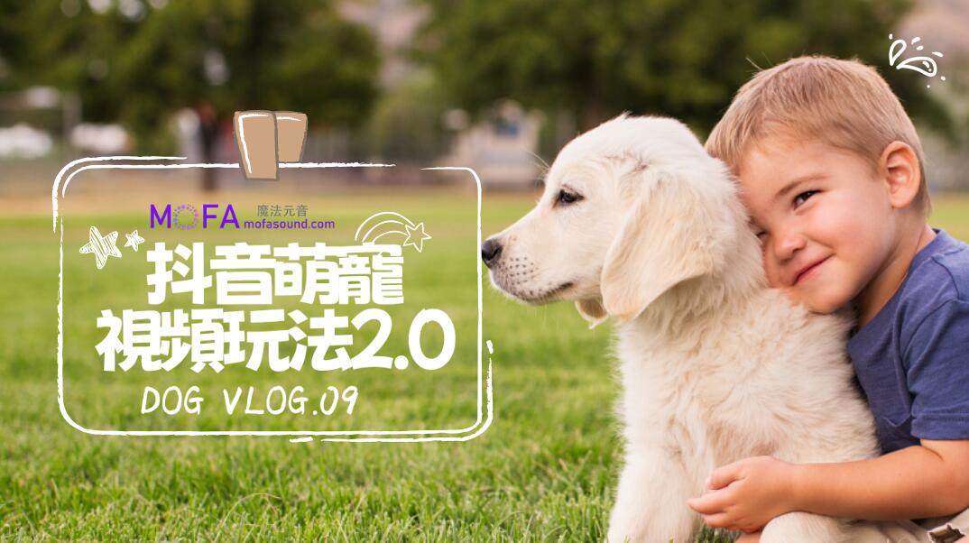 一部手機日入4000+，抖音萌寵視頻玩法2.0，小白十分鐘輕鬆上手（教程+素材）