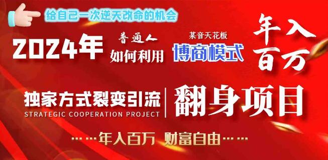 2024年普通人如何利用博商模式做翻身项目年入百万，财富自由